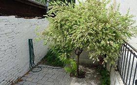 Mur 4 - Apartament z patio